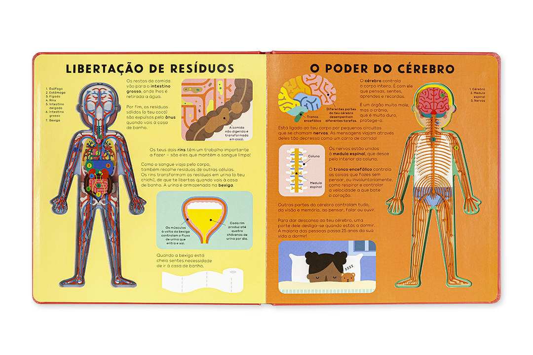 Livro infantil aberto com imagens e texto educativo sobre o corpo humano