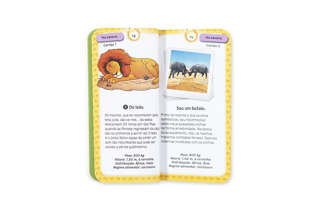 Livro infantil aberto com informações e imagens de um leão e um búfalo