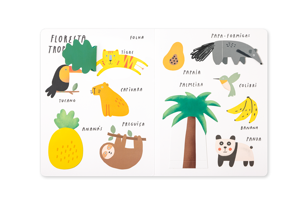 Livro infantil aberto com animais e frutos da floresta tropical ilustrados e identificados em português