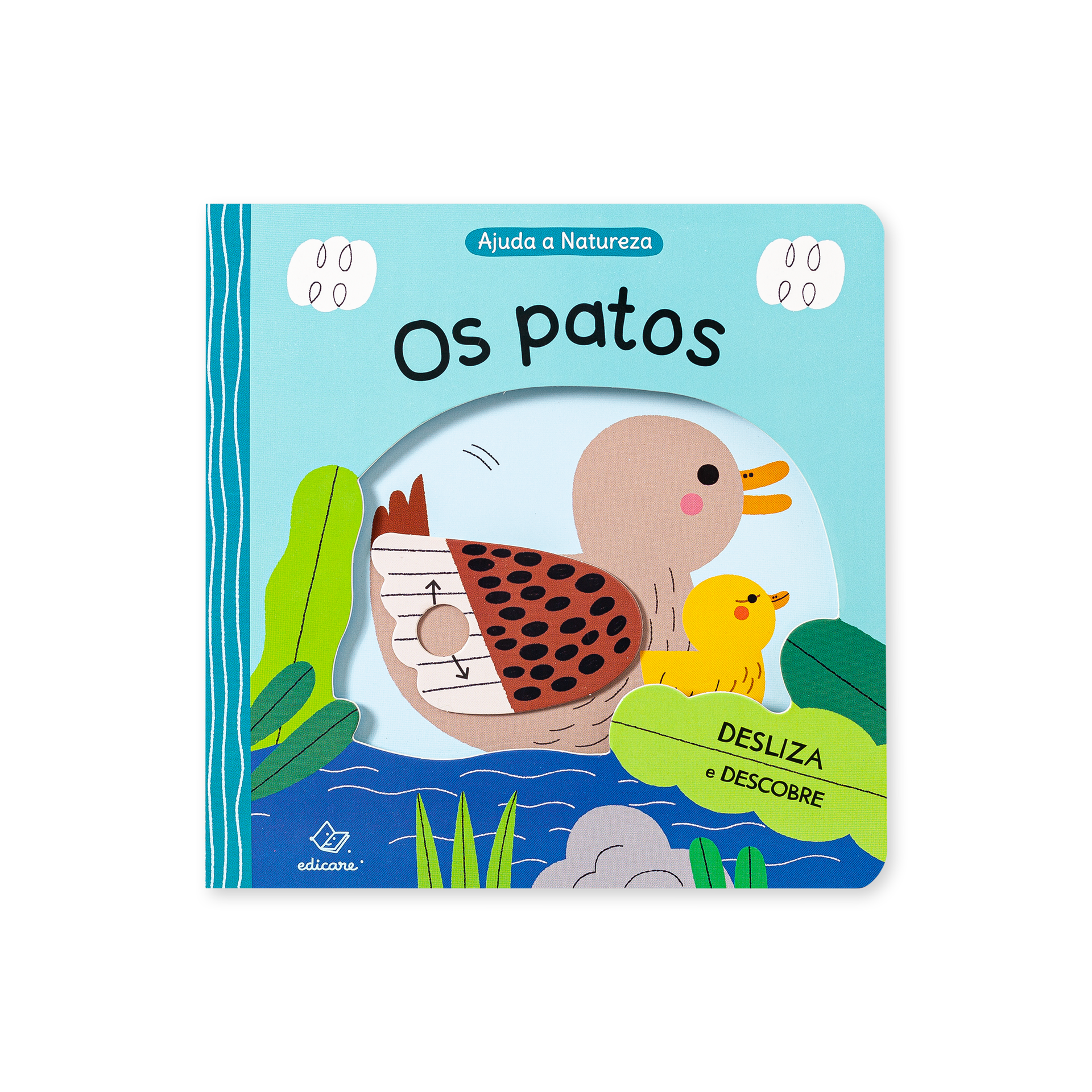 Livro infantil Os patos com ilustração de patos em fundo azul e verde