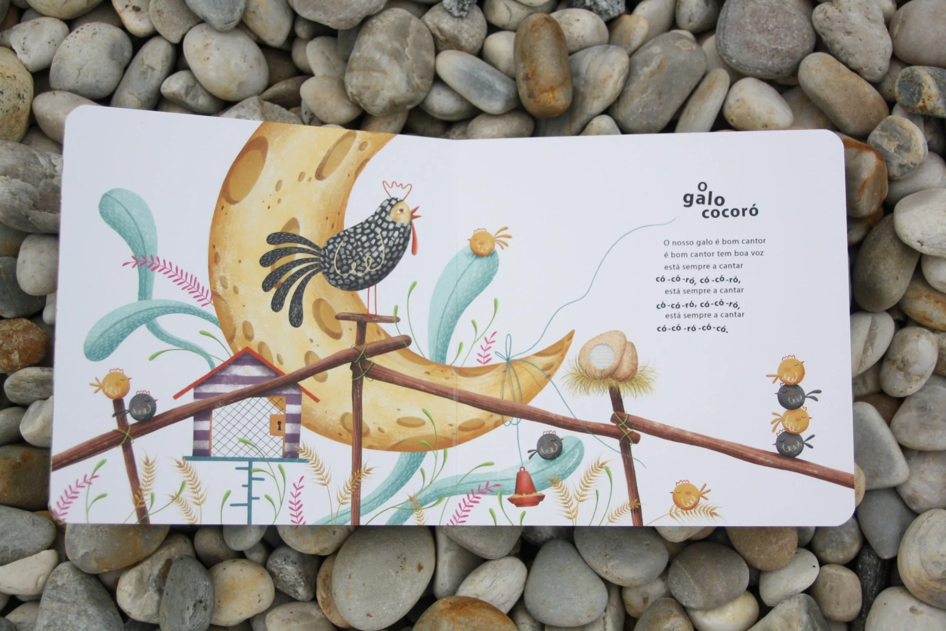 Livro infantil aberto com ilustração de galo, pequenas galinhas e lua, texto em português sobre galo cocoró