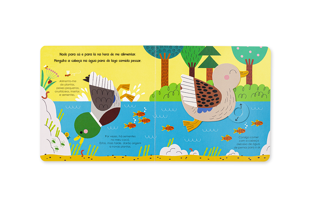 Livro infantil aberto com ilustrações de patos e peixes num ambiente natural colorido.