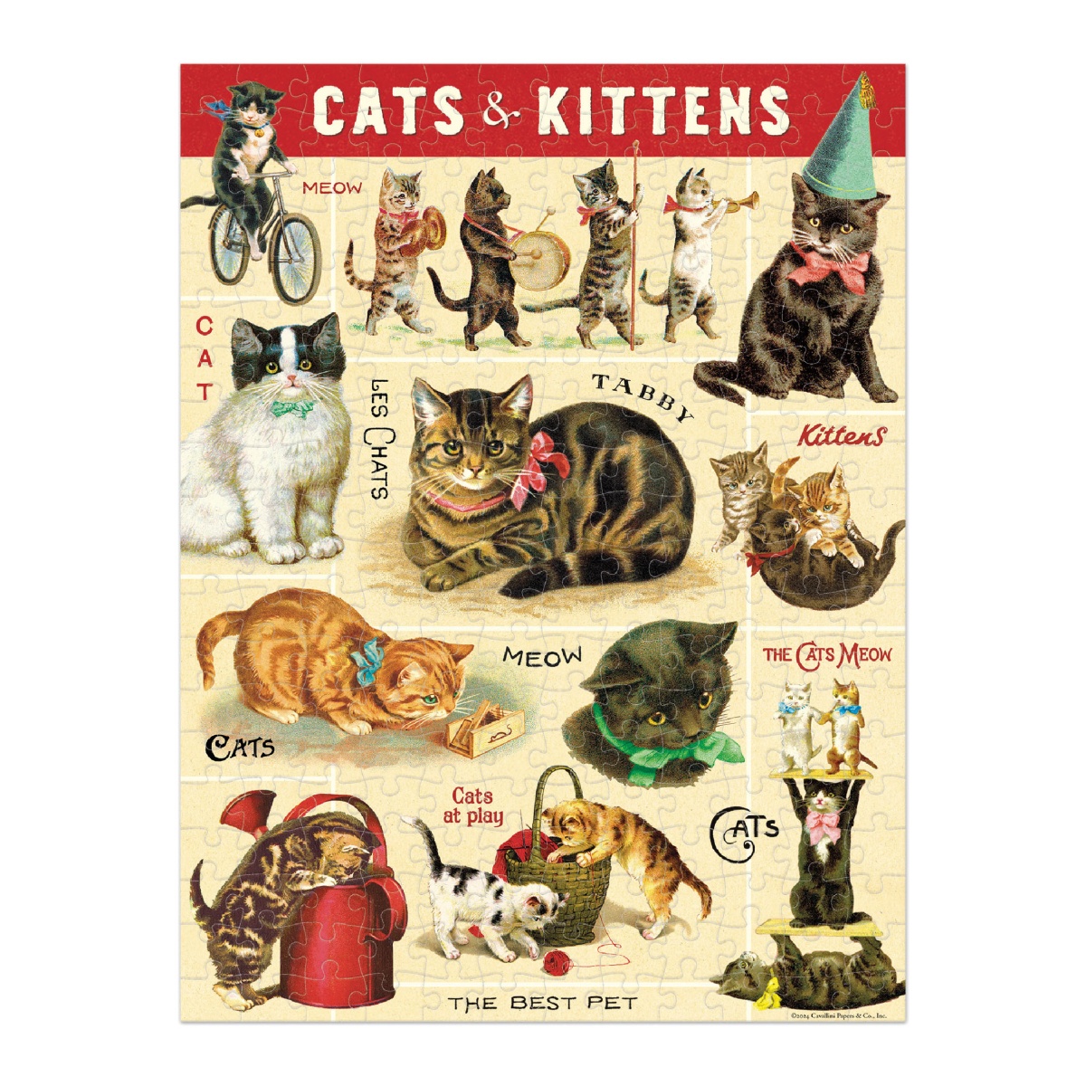 Puzzle ilustrado com vários gatos e gatinhos com textos em inglês