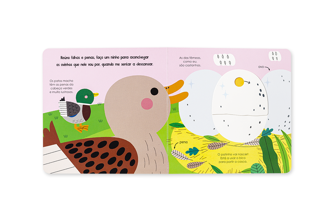 Página de livro infantil com ilustrações de patos e um ovo e texto em português