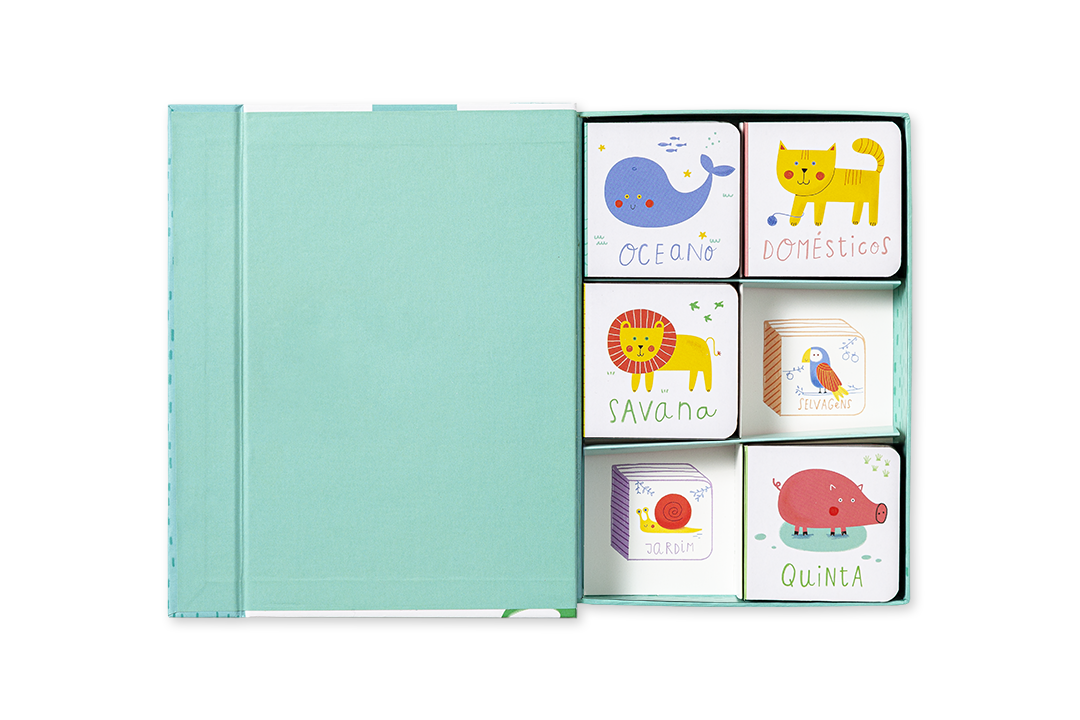 Blocos de madeira coloridos com ilustrações de animais e texto em português numa caixa azul clara