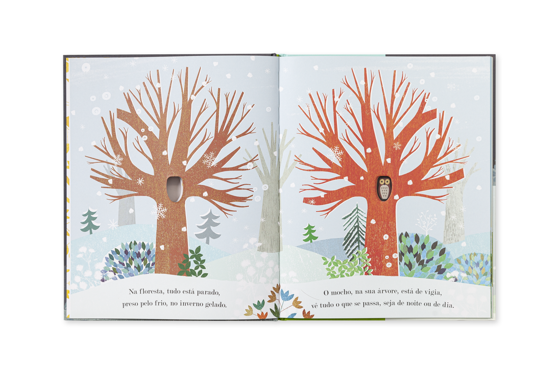 Livro aberto a duas páginas com ilustrações de árvores e texto em português.