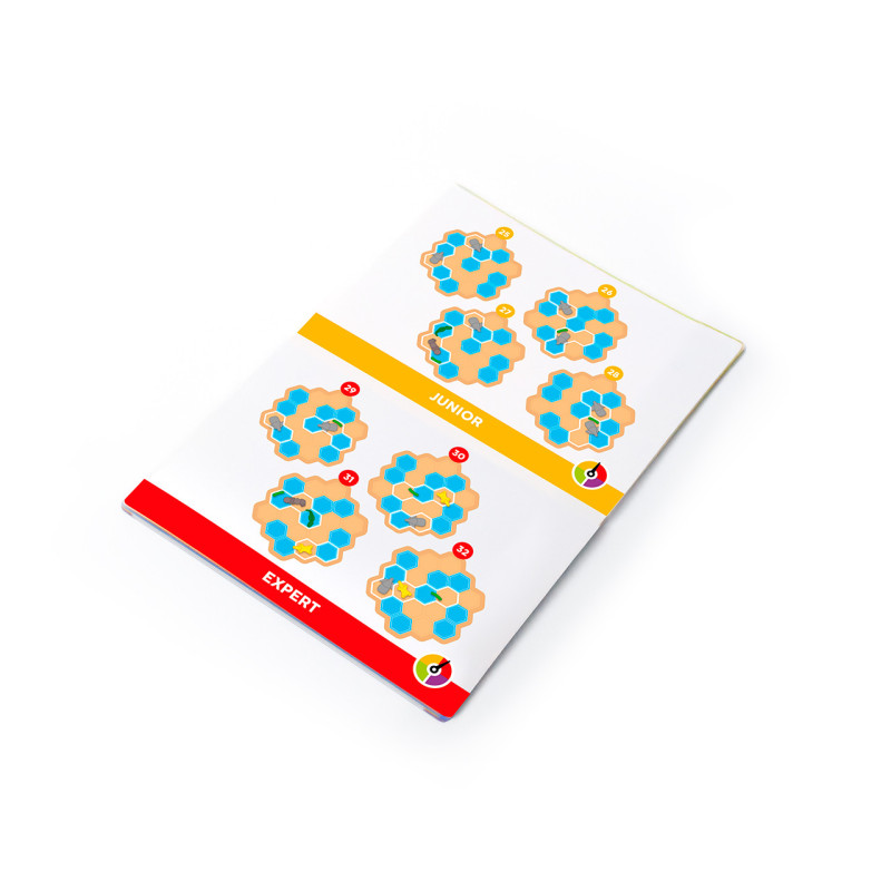 Folha impressa com gráficos hexagonais coloridos e títulos JUNIOR e EXPERT