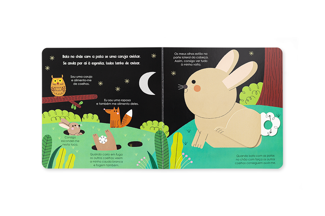 Livro infantil aberto com ilustrações de animais e texto em português