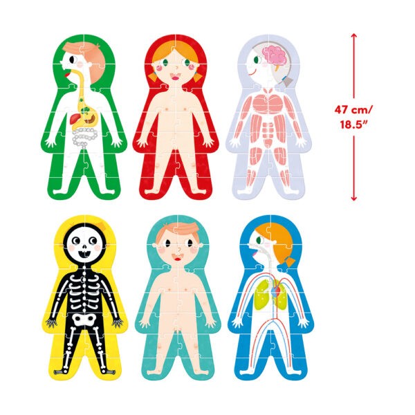 Puzzles infantis com figuras humanas e partes do corpo