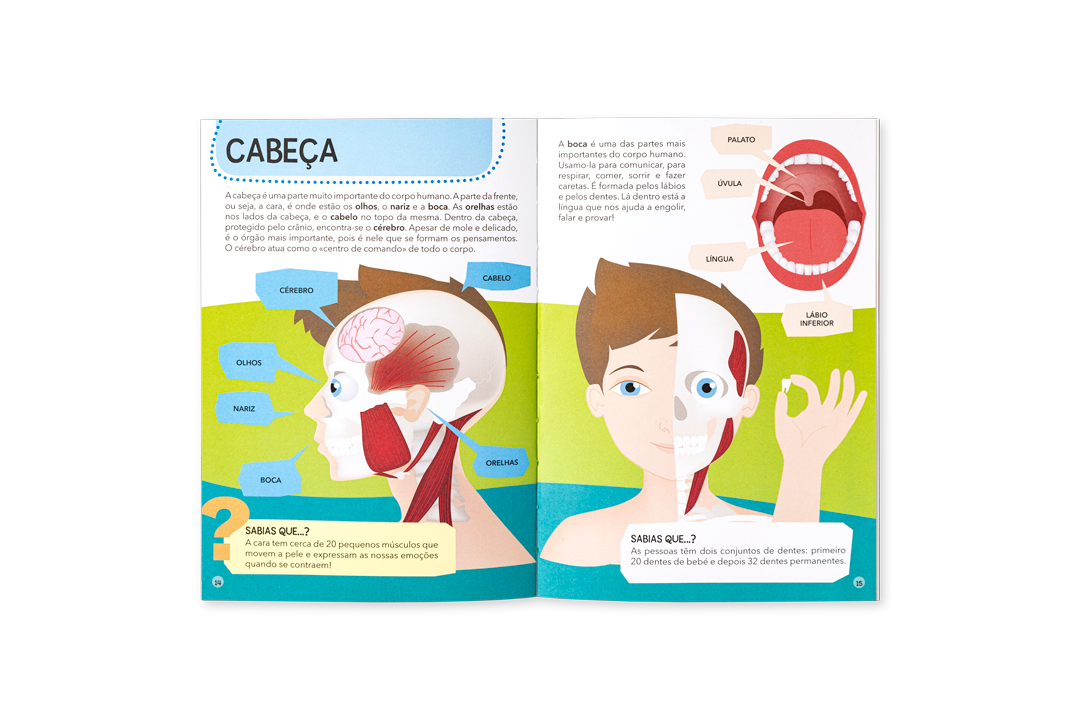 Livro educativo aberto a duas páginas mostrando ilustrações da cabeça humana e texto em português
