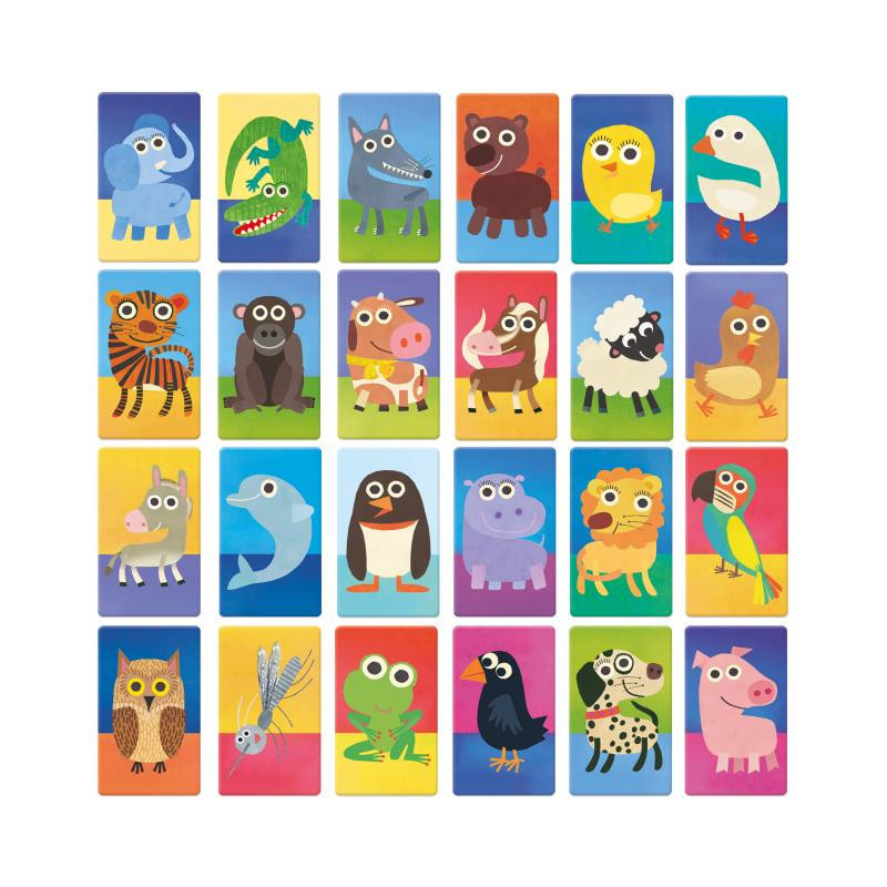 Cartas com ilustrações coloridas de diferentes animais