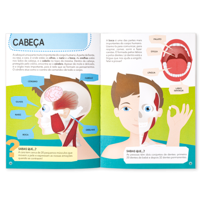 Livro educativo aberto a duas páginas mostrando ilustrações da cabeça humana e texto em português