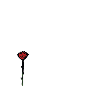 Urban Roots Clothes