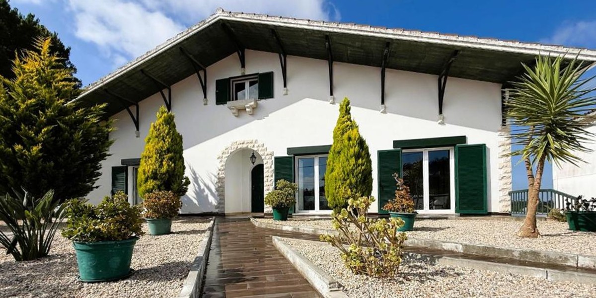 Moradia branca com janelas verdes e jardim com plantas em vasos