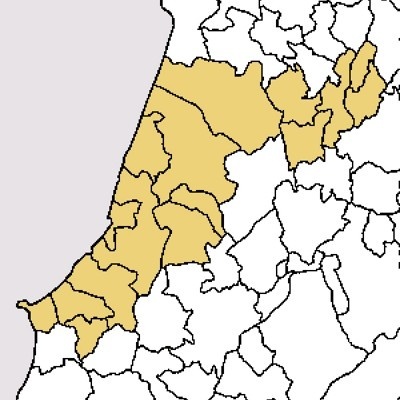 Mapa político com regiões amarelas e brancas delimitadas