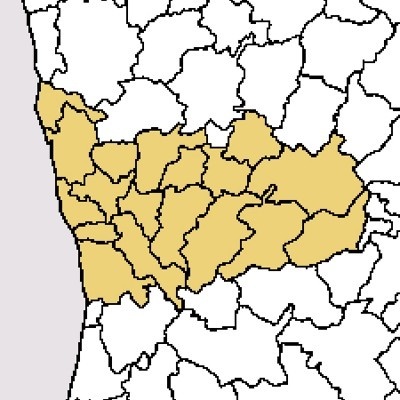 Mapa político em branco e amarelo com fronteiras regionais em preto