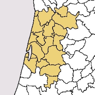 Mapa a preto e branco com algumas áreas em amarelo claro