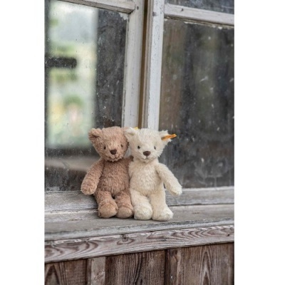 Dois ursinhos de peluche castanho e branco numa superfície de madeira junto a uma janela embaçada