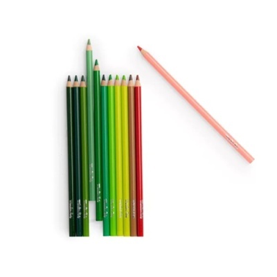 Lápis de cor em madeira de várias cores sobre fundo branco