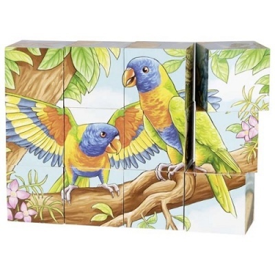 Blocos coloridos com imagem de dois papagaios em galho com folhas e flores.