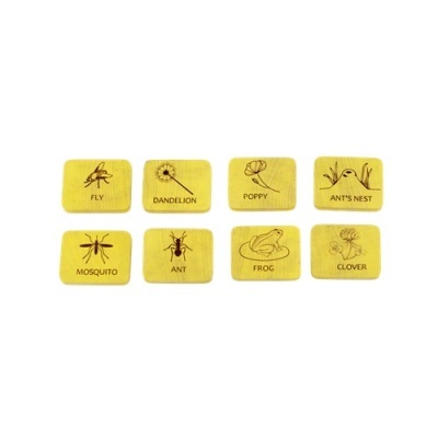 Blocos amarelos com desenhos e nomes de insetos e plantas em inglês