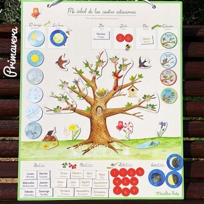 Cartaz educativo com árvore das quatro estações e calendário em espanhol