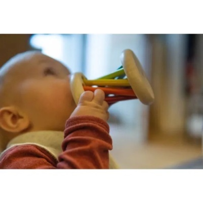 Bebé a segurar e morder brinquedo colorido de madeira e plástico