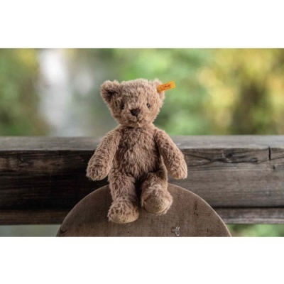 Urso de peluche castanho claro sentado em madeira com fundo natural desfocado