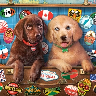 Dois cachorros de pelúcia numa mala aberta com etiquetas de viagens