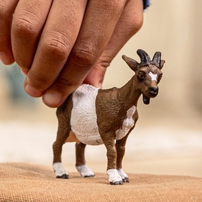 Miniatura de cabra castanha e branca com chifres segurada por mão humana
