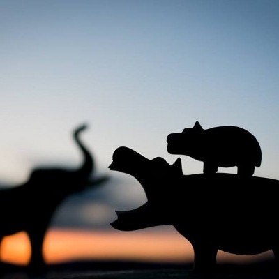 Silhuetas de hipopótamos e elefante em madeira ao entardecer