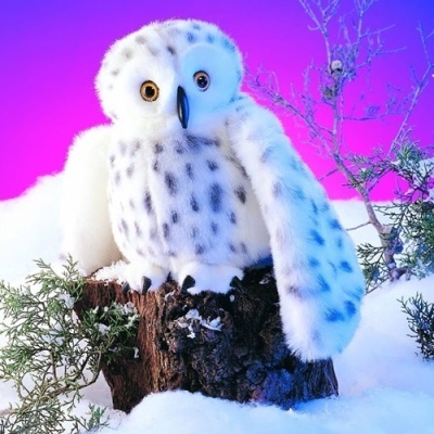 Pelúcia de coruja branca com pintas pretas sobre tronco em ambiente nevado colorido