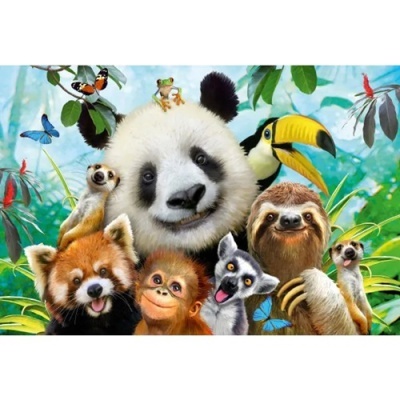 Ilustração colorida de vários animais como panda, tucano, lémure, entre plantas e borboletas