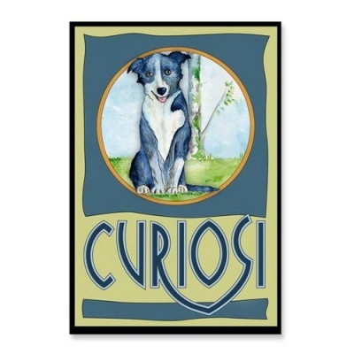 Cartaz com cão e texto 'CURIOUS'