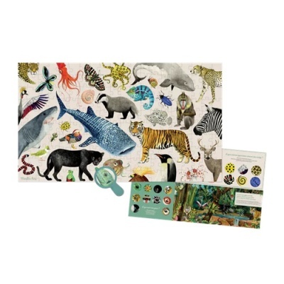 Cartaz infantil com ilustrações de animais, lupa verde e livro aberto sobre o ambiente natural