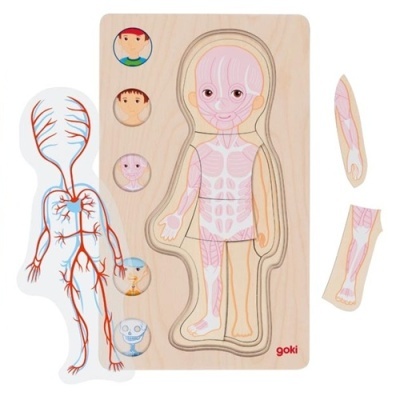 Puzzle educativo de madeira com sistemas do corpo humano e peças destacáveis.