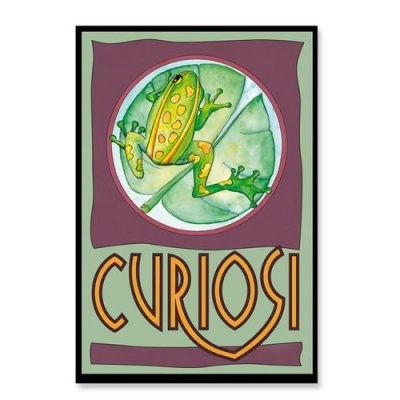 Cartaz ilustrado com rã verde e texto CURIOSIDADE