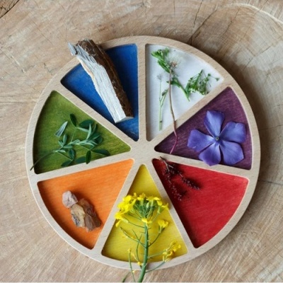 Prato redondo de madeira com compartimentos coloridos e plantas sobre fundo de madeira