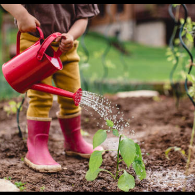 Criança a regar planta jovem com regador vermelho no jardim