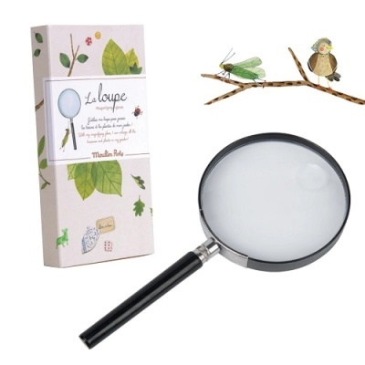 Lupa com pega preta e caixa decorada com folhas e animais