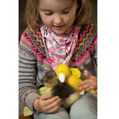 Criança a segurar um patinho vivo e uma peluche amarela com um bico branco
