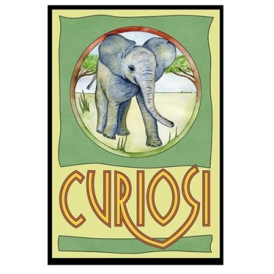 Cartaz com desenho de elefante bebé e texto CURIOSI