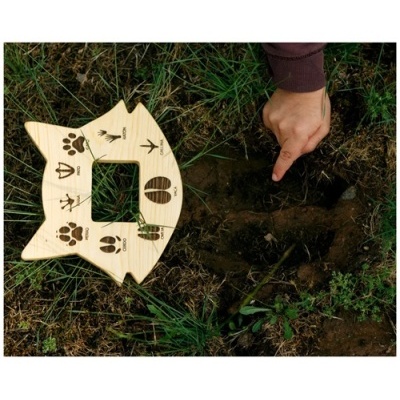 Régua de madeira com pegadas de animais ao lado de pegada no chão