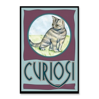 Cartaz decorativo com gato e texto CURIOSITY