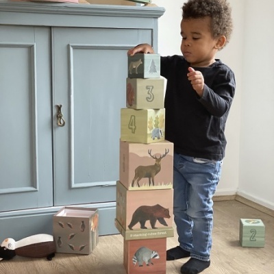 Criança a empilhar blocos de madeira com desenhos de animais e números