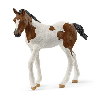 Figura detalhada de cavalo castanho e branco