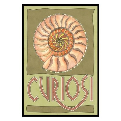 Cartaz com ilustração de concha espiral e palavra CURIOSE