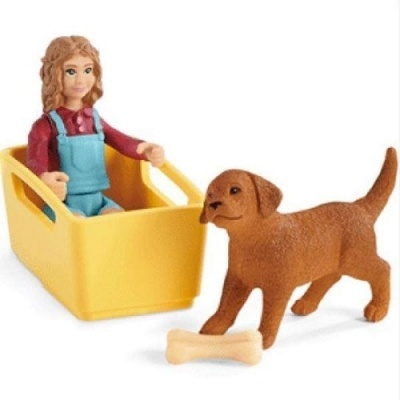 Brinquedo de boneca feminina numa caixa amarela com cachorro e osso