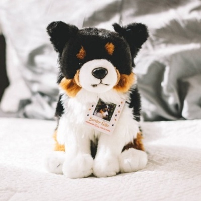 Pelúcia de cão preto, castanho e branco com etiqueta