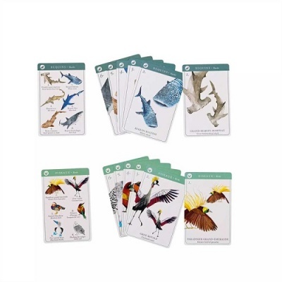 Cartas ilustradas de peixes e pássaros com cabeçalhos verdes